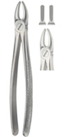 Tooth Forceps for upper incisor and Canines